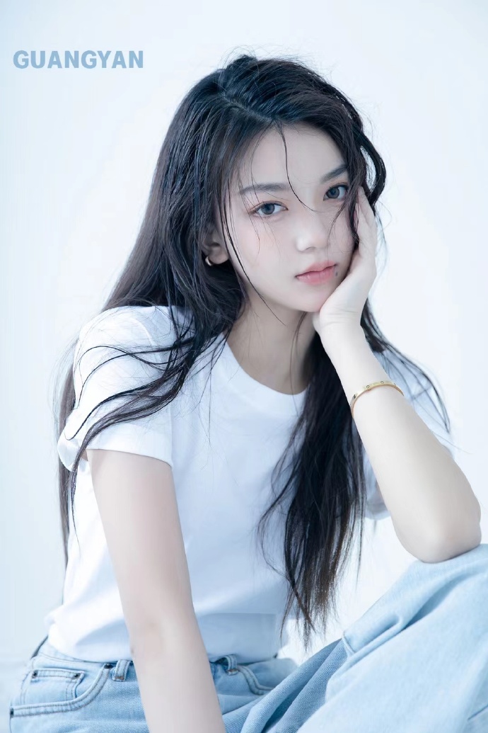 甄嬛传 封面